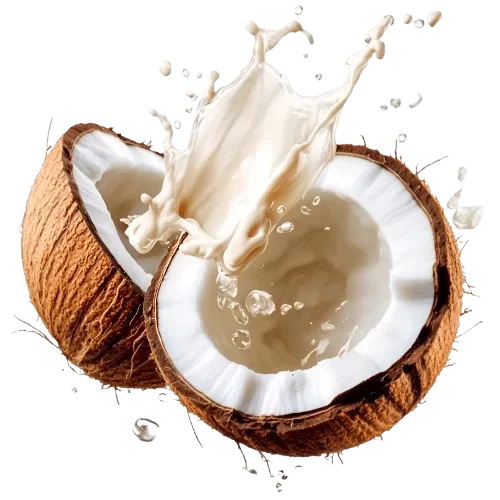 SANTAN GOLD - Pengeluar & Pembekal Santan Original, Santan Pati, Santan Pekat, Santan Asli, Santan Segar Lembah Klang, (Klang Valley) Selangor, Kuala Lumpur. Supply Coconut Milk Fresh Supplier, Distributor